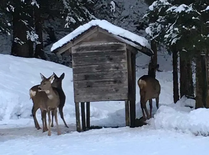 Bacher Oberkumbichl 900 Appartamento *